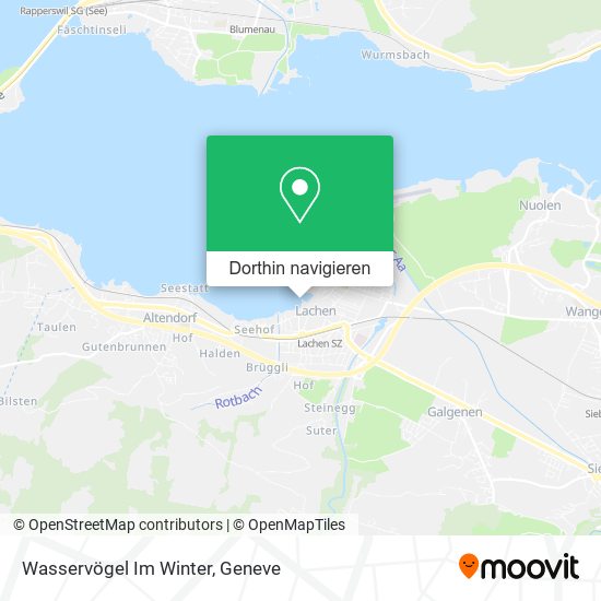Wasservögel Im Winter Karte