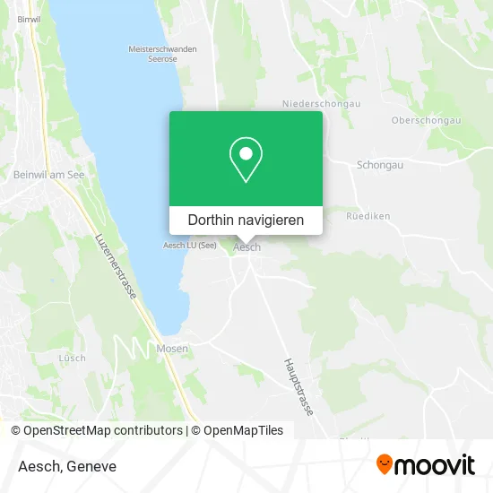 Aesch Karte
