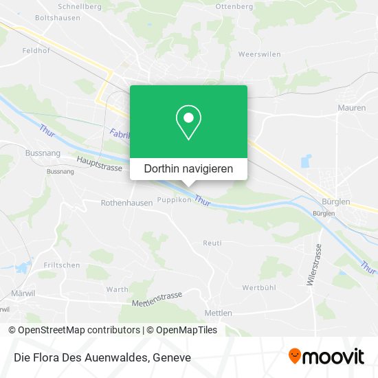 Die Flora Des Auenwaldes Karte