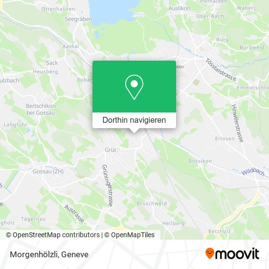 Morgenhölzli Karte