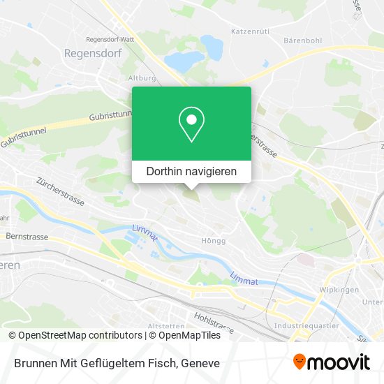 Brunnen Mit Geflügeltem Fisch Karte