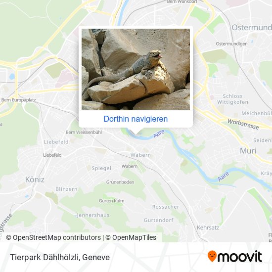 Tierpark Dählhölzli Karte