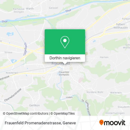 Frauenfeld Promenadenstrasse Karte