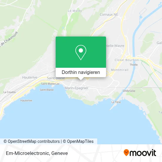 Em-Microelectronic Karte