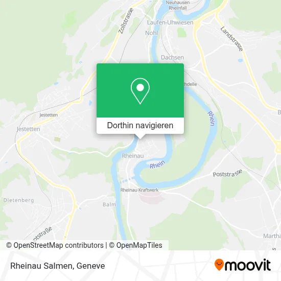 Rheinau Salmen Karte