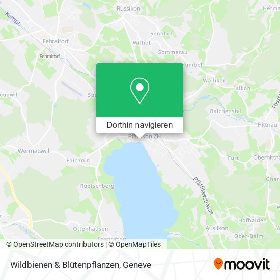 Wildbienen & Blütenpflanzen Karte
