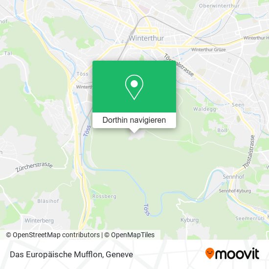Das Europäische Mufflon Karte