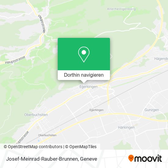 Josef-Meinrad-Rauber-Brunnen Karte