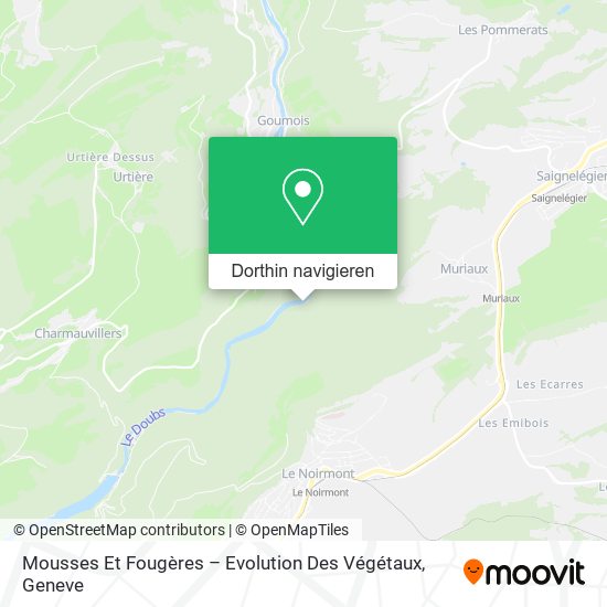 Mousses Et Fougères – Evolution Des Végétaux Karte