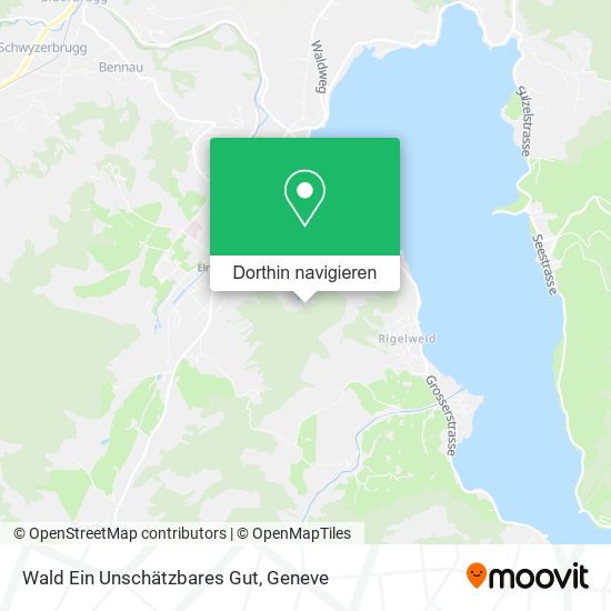 Wald Ein Unschätzbares Gut Karte