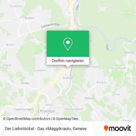 Der Liebstöckel - Das «Maggikraut» Karte