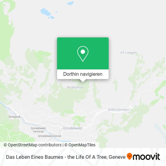 Das Leben Eines Baumes - the Life Of A Tree Karte