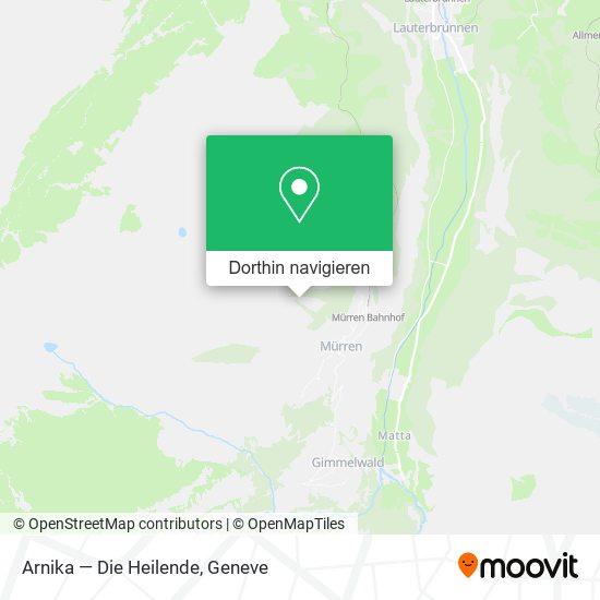 Arnika — Die Heilende Karte