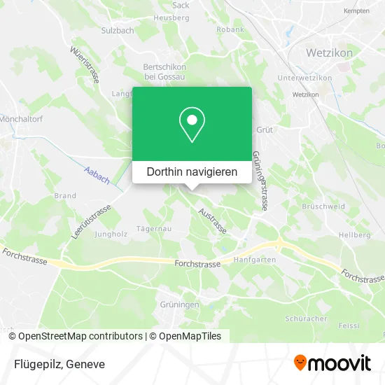 Flügepilz Karte