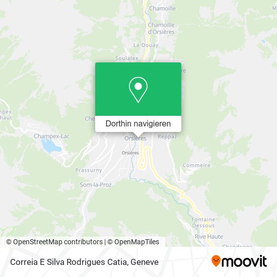 Correia E Silva Rodrigues Catia Karte