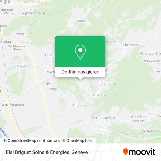 Elsi Briguet Soins & Energies Karte