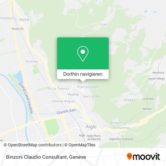 Binzoni Claudio Consultant Karte