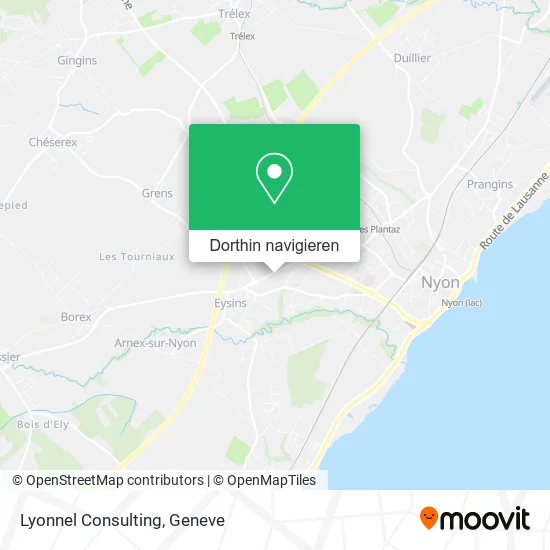 Lyonnel Consulting Karte