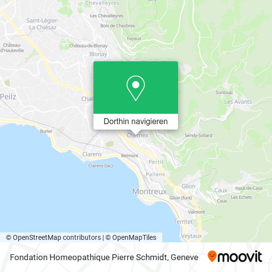 Fondation Homeopathique Pierre Schmidt Karte