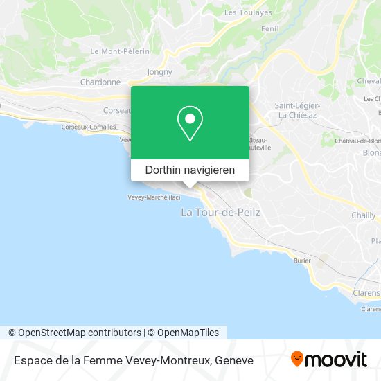 Espace de la Femme Vevey-Montreux Karte