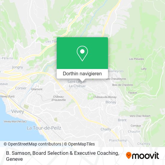 B. Samson, Board Selection & Executive Coaching Karte