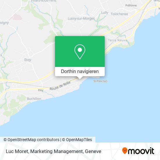 Luc Moret, Marketing Management Karte