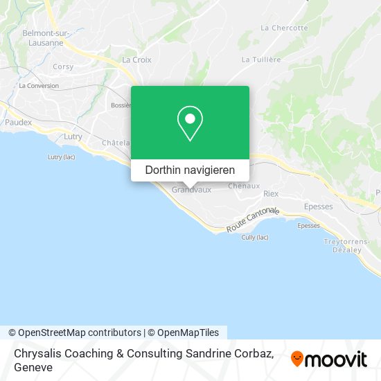 Chrysalis Coaching & Consulting Sandrine Corbaz Karte
