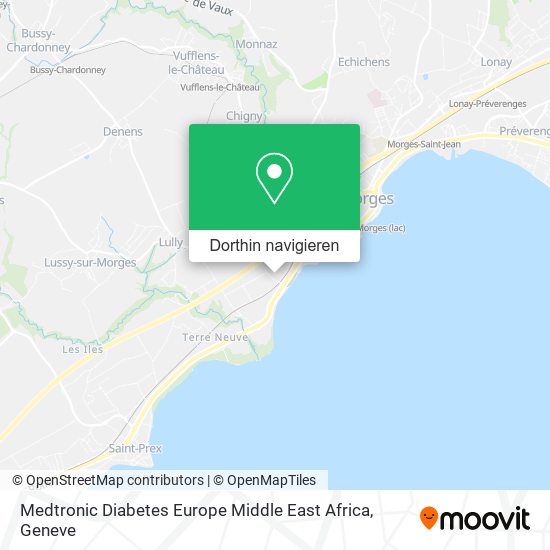 Medtronic Diabetes Europe Middle East Africa Karte
