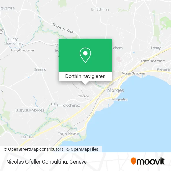 Nicolas Gfeller Consulting Karte