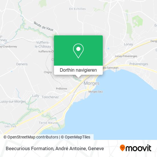 Beecurious Formation, André Antoine Karte