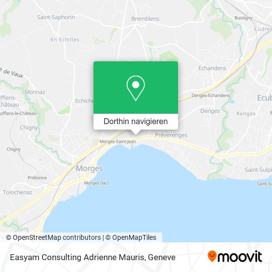 Easyam Consulting Adrienne Mauris Karte