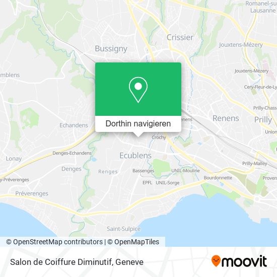 Salon de Coiffure Diminutif Karte