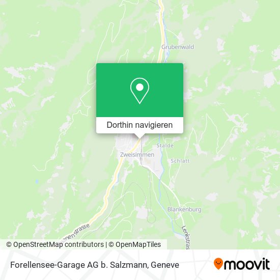 Forellensee-Garage AG b. Salzmann Karte