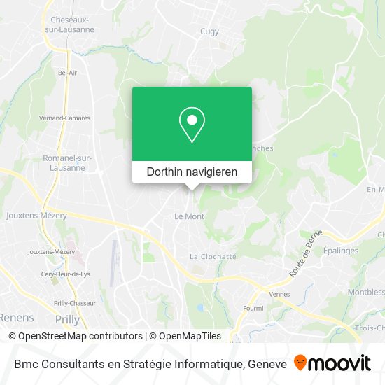 Bmc Consultants en Stratégie Informatique Karte