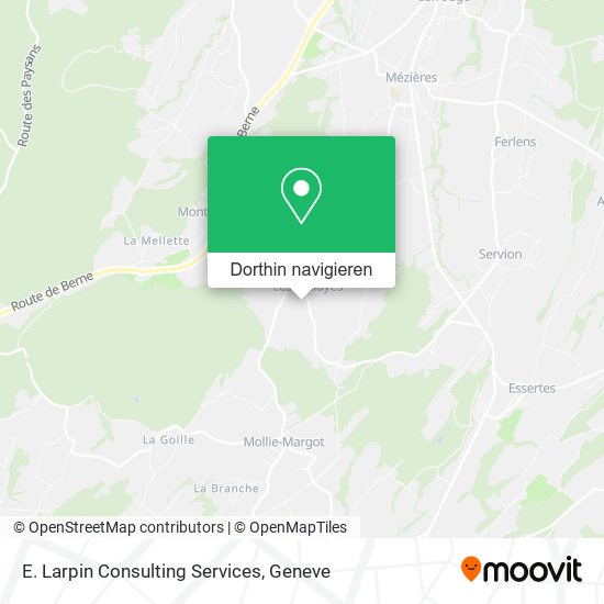 E. Larpin Consulting Services Karte