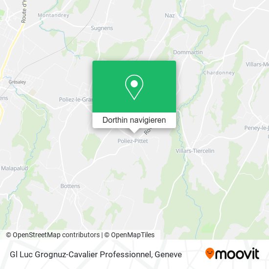 Gl Luc Grognuz-Cavalier Professionnel Karte