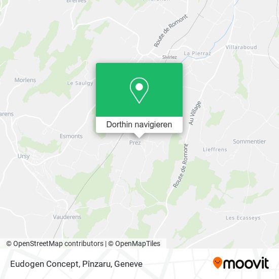 Eudogen Concept, Pînzaru Karte