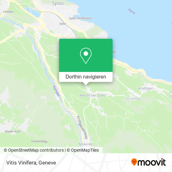 Vitis Vinifera Karte