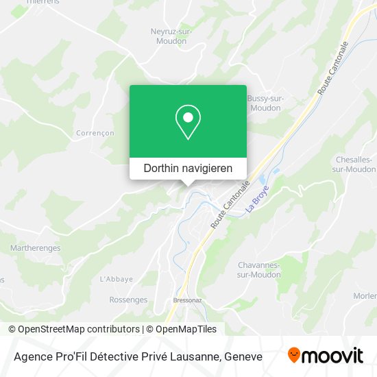 Agence Pro'Fil Détective Privé Lausanne Karte