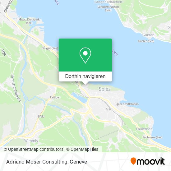 Adriano Moser Consulting Karte