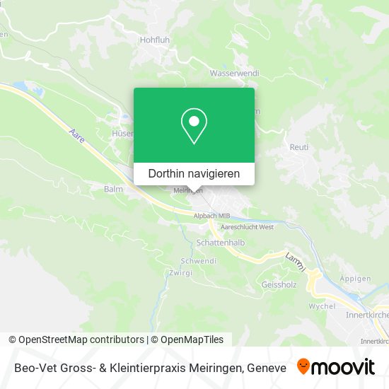 Beo-Vet Gross- & Kleintierpraxis Meiringen Karte