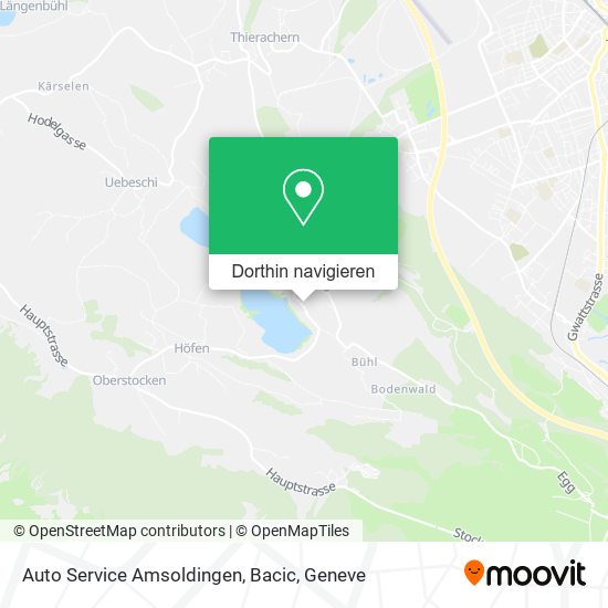 Auto Service Amsoldingen, Bacic Karte