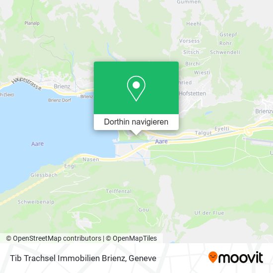 Tib Trachsel Immobilien Brienz Karte