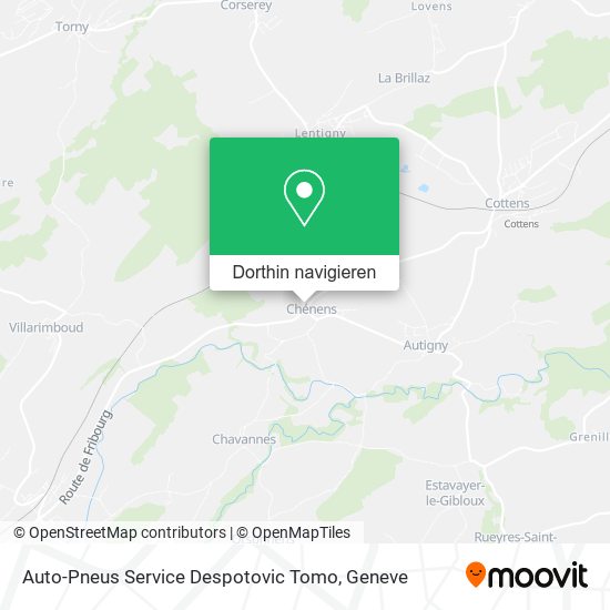 Auto-Pneus Service Despotovic Tomo Karte