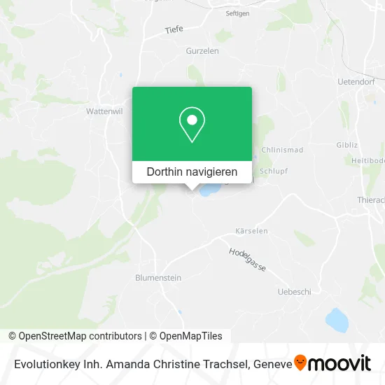 Evolutionkey Inh. Amanda Christine Trachsel Karte