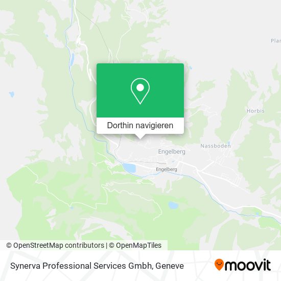 Synerva Professional Services Gmbh Karte