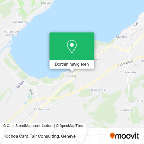 Ochoa Caro Fair Consulting Karte