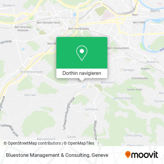 Bluestone Management & Consulting Karte