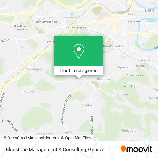 Bluestone Management & Consulting Karte