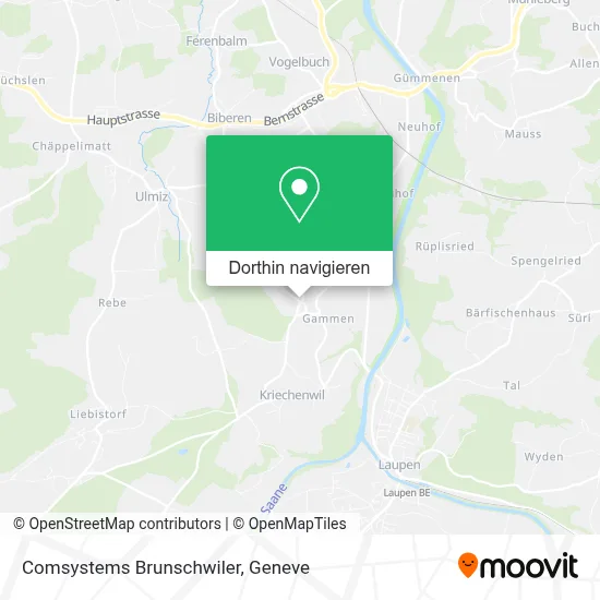 Comsystems Brunschwiler Karte